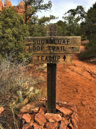 A wooden sign that says sugarloaf loop trail teacup