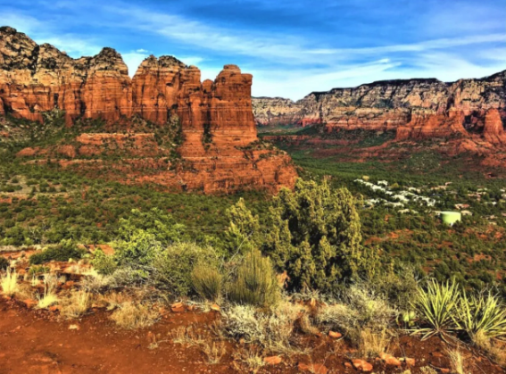 A view of a desert landscape with mountains in the background.