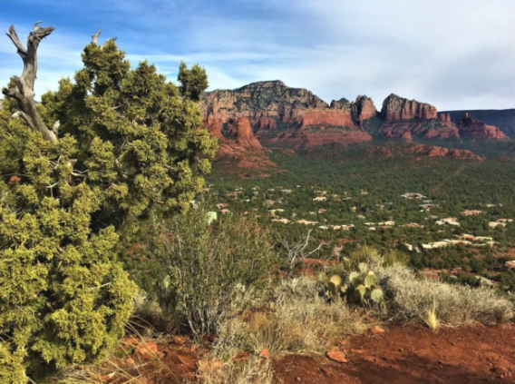 A blurry picture of a desert landscape with mountains in the background.