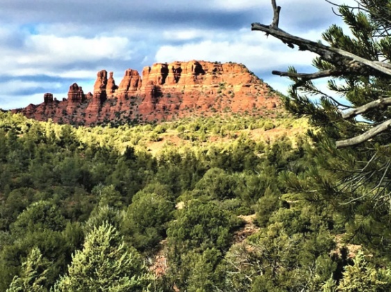 A mountain in the distance with trees in the foreground