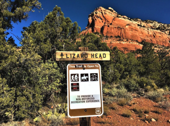 A sign that says lizard head in front of a mountain