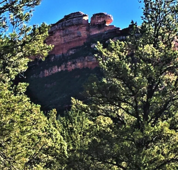 A large rock formation in the middle of a forest