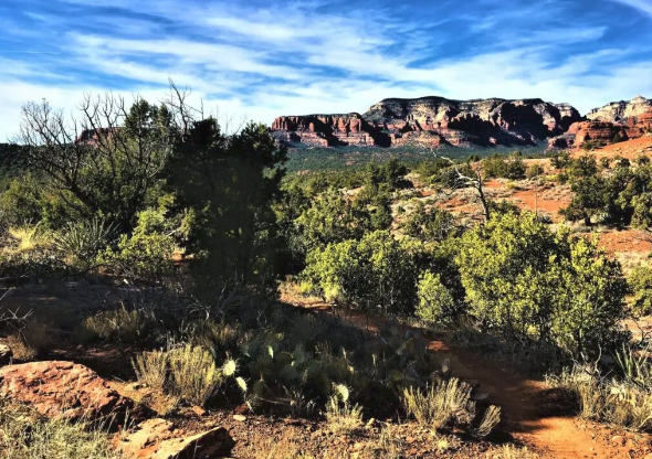 A painting of a desert landscape with a mountain in the background.