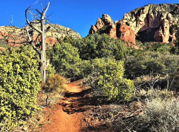 A dirt path in the desert with trees and mountains in the background