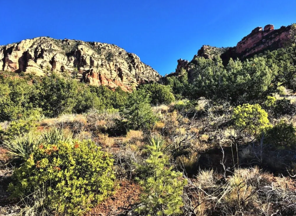 A mountain covered in trees and bushes with a blue sky in the background