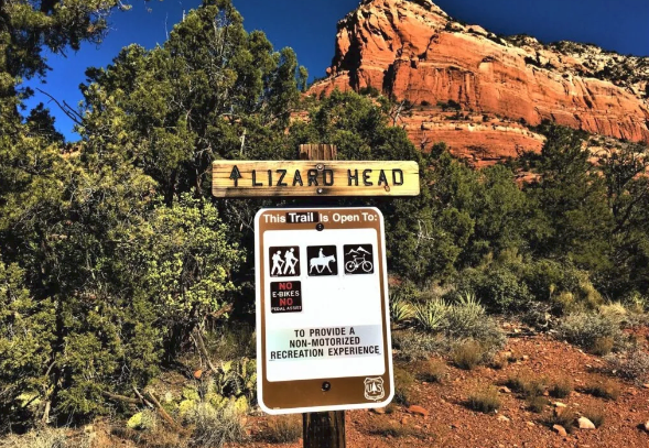 A sign that says lizard head in front of a mountain