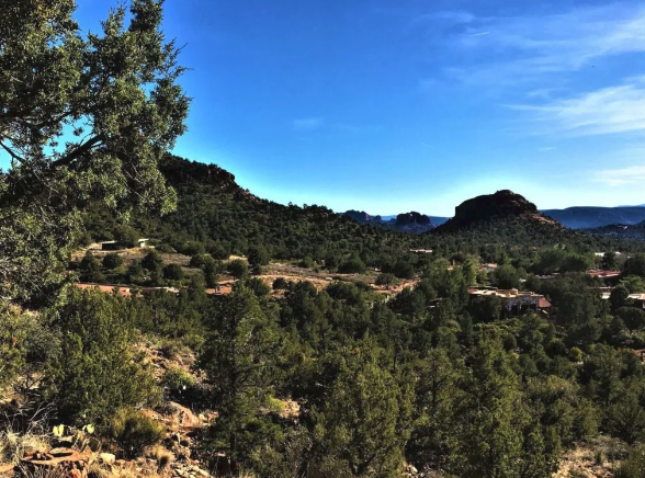 A view of a valley with trees and mountains in the background
