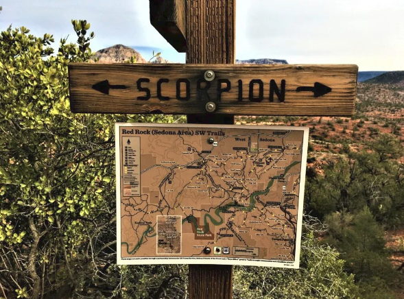 A wooden sign that says scorpion on it