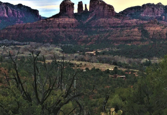 A landscape with mountains in the background and trees in the foreground