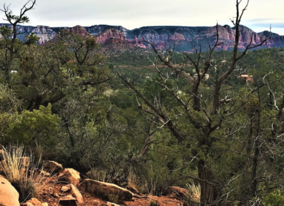 There are mountains in the background and trees in the foreground.