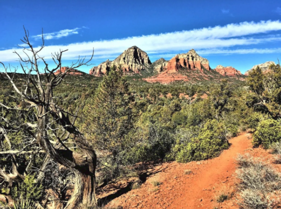 A dirt road going through a desert landscape with mountains in the background.
