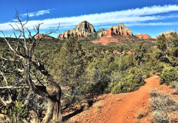 A dirt road in the middle of a desert with mountains in the background.