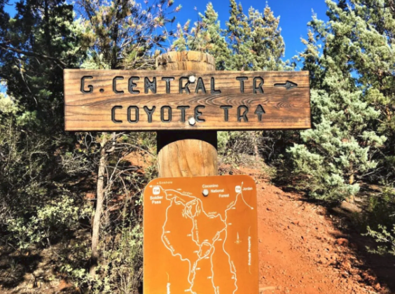 A wooden sign that says g. central tr coyote trail