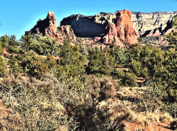 A painting of a desert landscape with rocks and trees.
