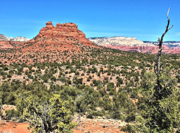 A desert landscape with mountains in the background and trees in the foreground.