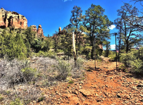 A dirt road in the middle of a desert surrounded by trees and rocks.
