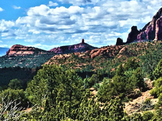 A painting of a landscape with trees and mountains in the background
