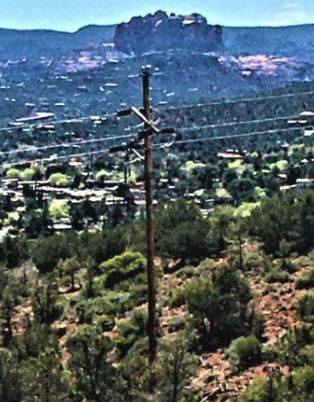 A telephone pole in the middle of a forest with a mountain in the background.