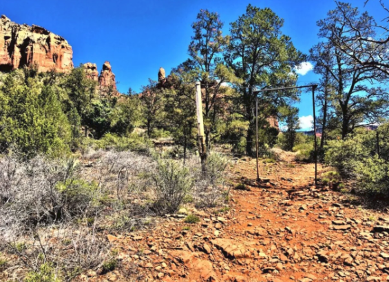 A dirt road in the desert with trees and rocks in the background