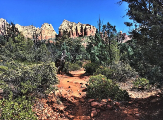 A dirt path in the middle of a forest with mountains in the background.