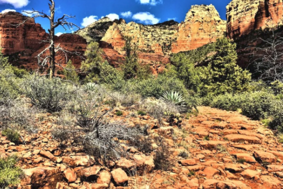 A dirt road in the middle of a desert surrounded by rocks and trees.