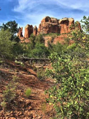 A large rock formation in the middle of a desert surrounded by trees and bushes.