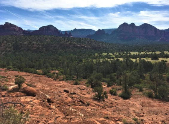A view of a valley with mountains in the background