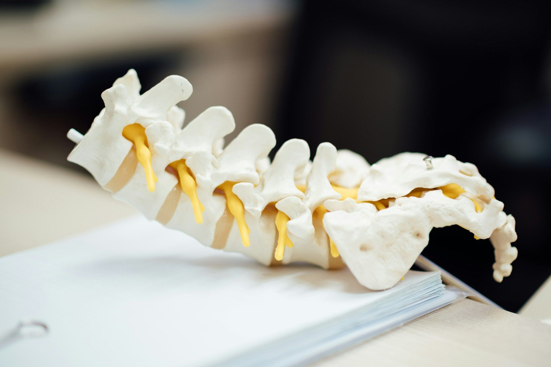 Yoga for lower back pain: lumbar spine pictured