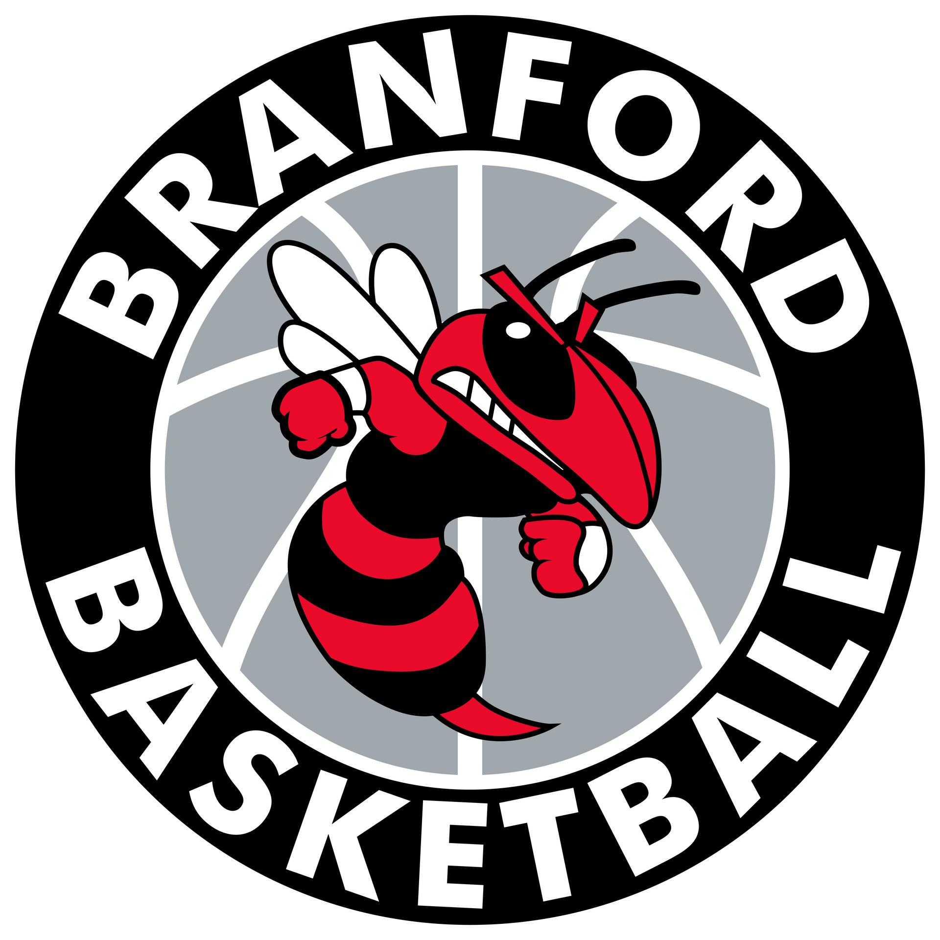 Logo for league
