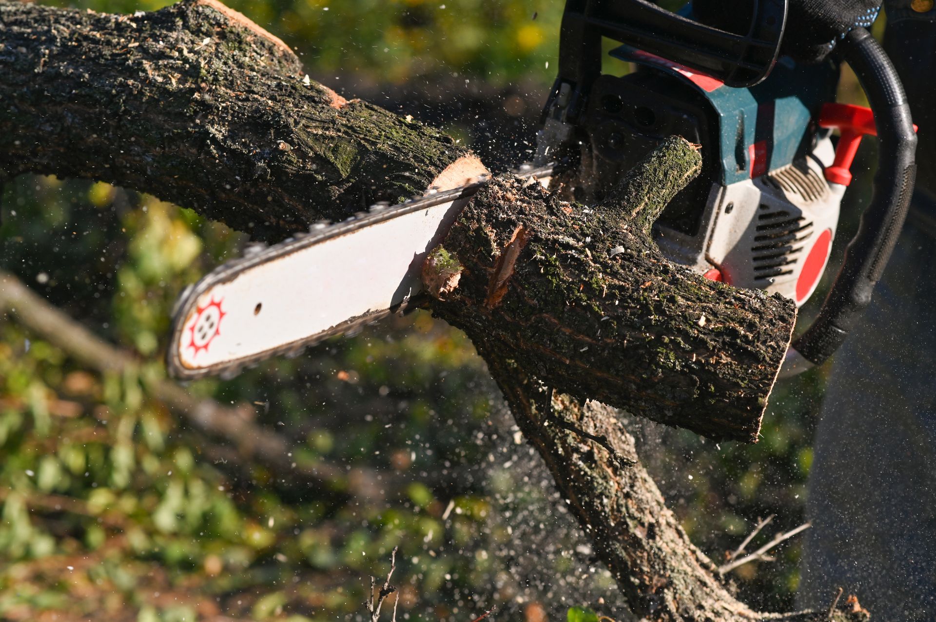 A chainsaw cutting through a tree branch, with wood chips flying in an outdoor setting.