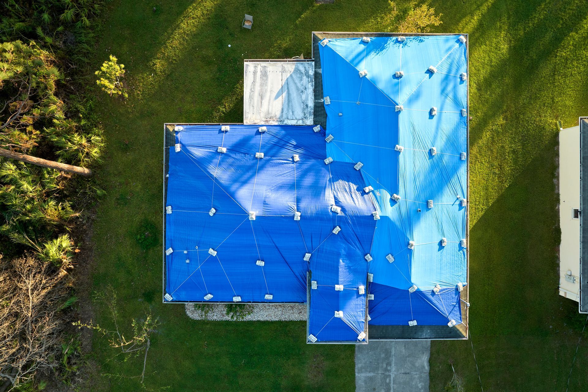 An aerial view of a residential house roof covered with large blue tarps and secured with white fasteners.