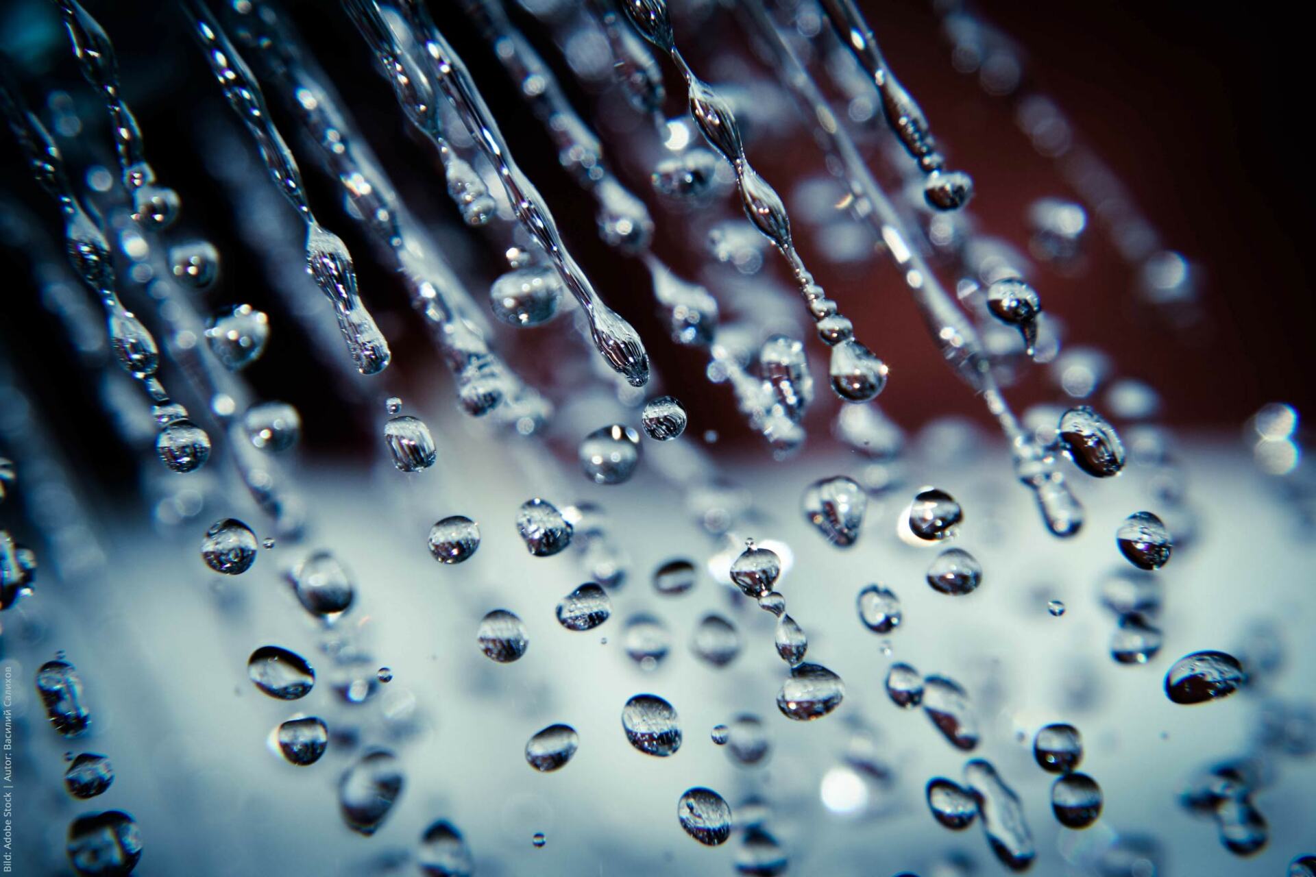 Erlebnisdusche Erlebnisdusche