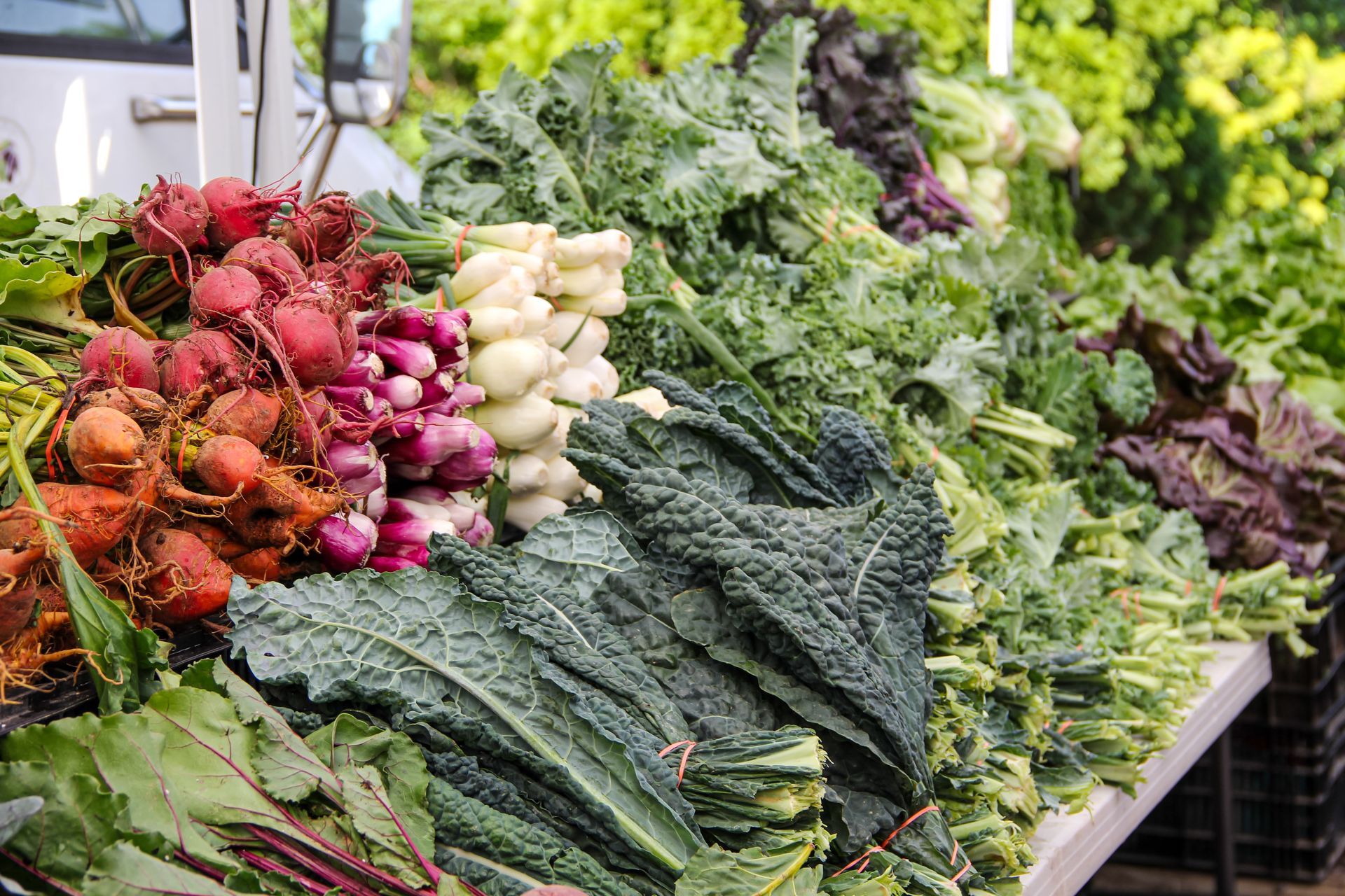 A colorful and abundant display of fresh produce arranged on a table at an outdoor farmers market. Bundles of bright red beets with leafy tops and white spring onions sit next to large piles of textured dark green kale and other leafy salad greens.