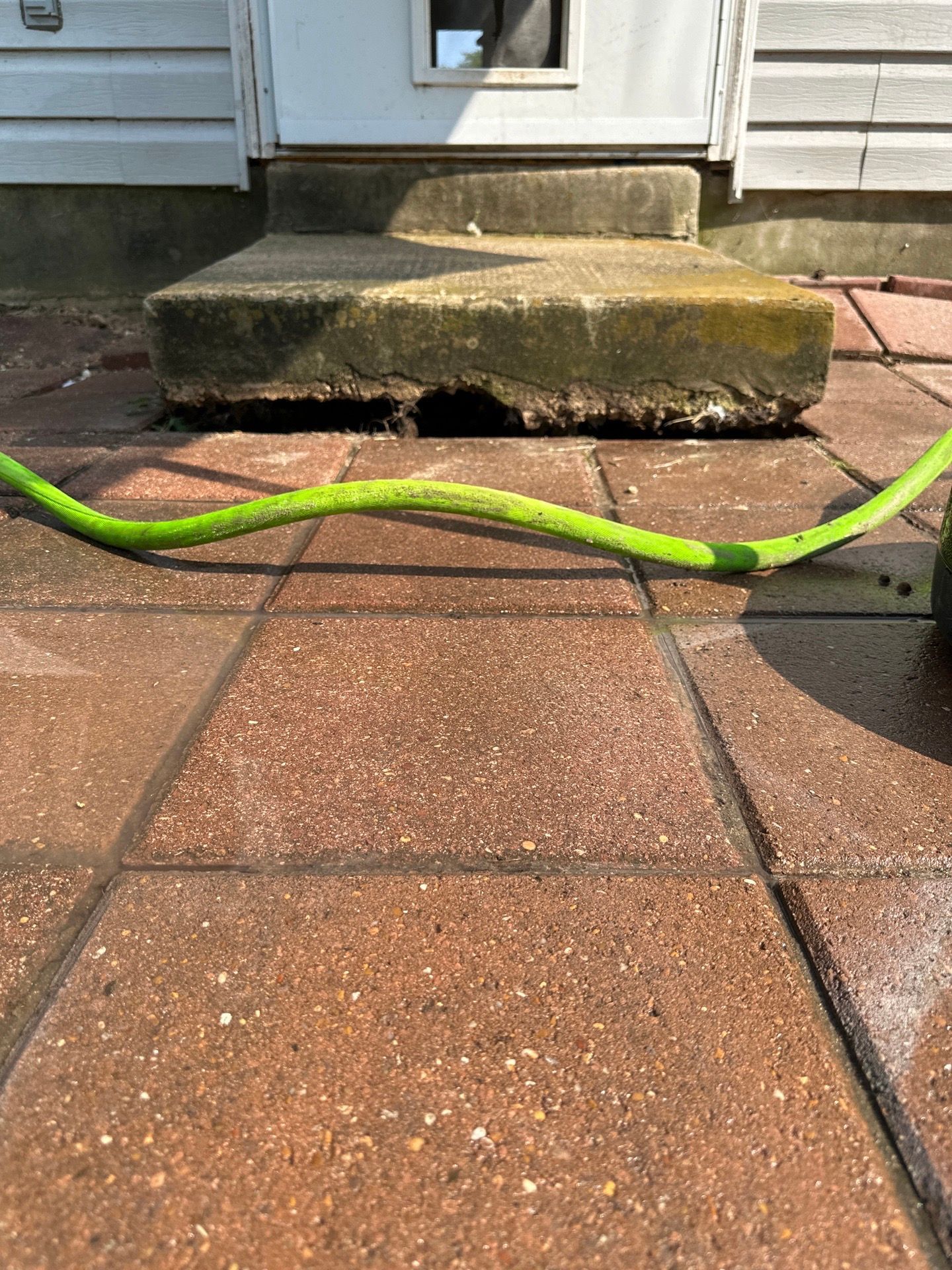 A green hose is laying on a brick sidewalk in front of a house.