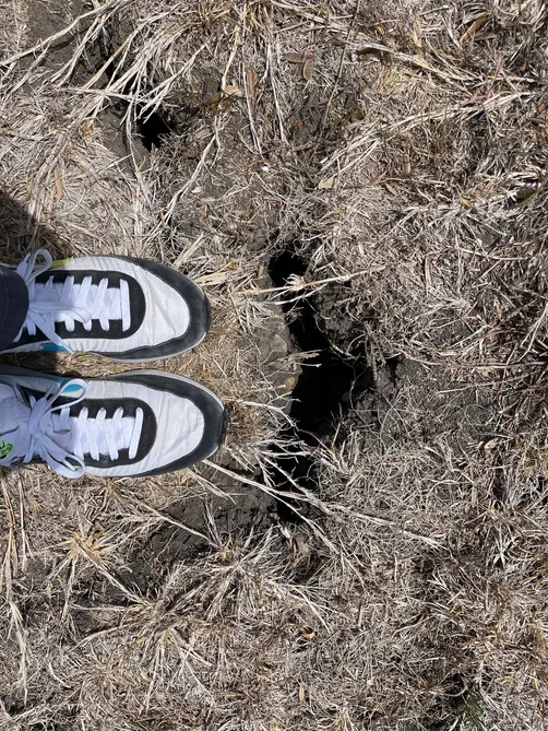A person wearing sneakers is standing in a field of dry grass.