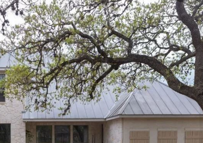 Tree Roots affect foundation