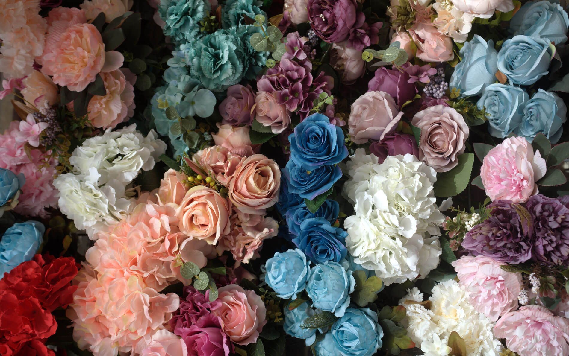 VARIEDAD DE FLORES