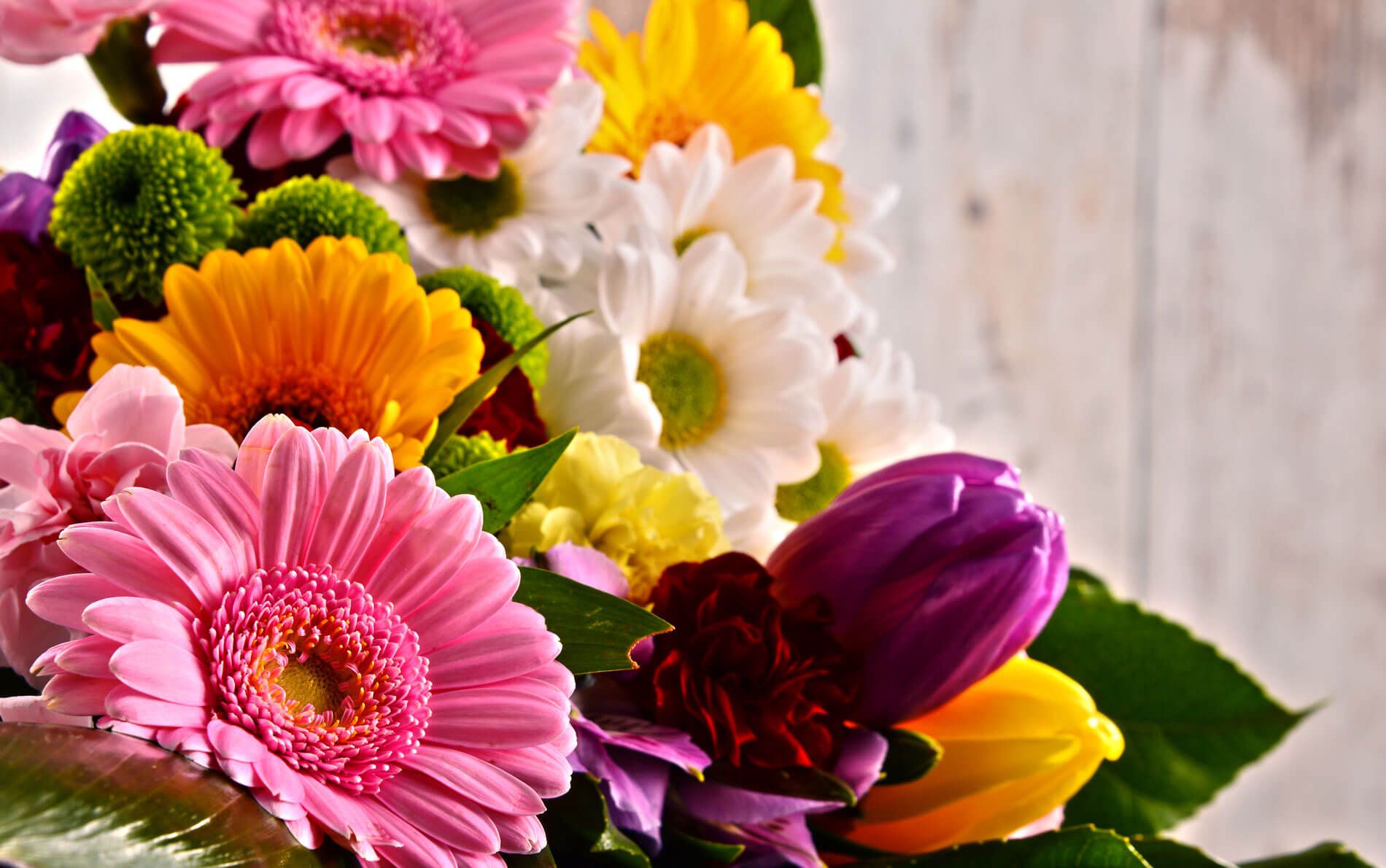 FLORES
