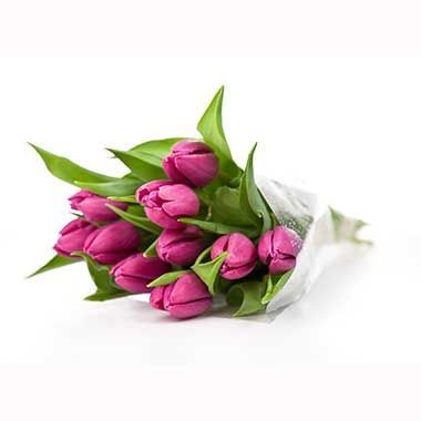 FLORES PARA OFICINA
