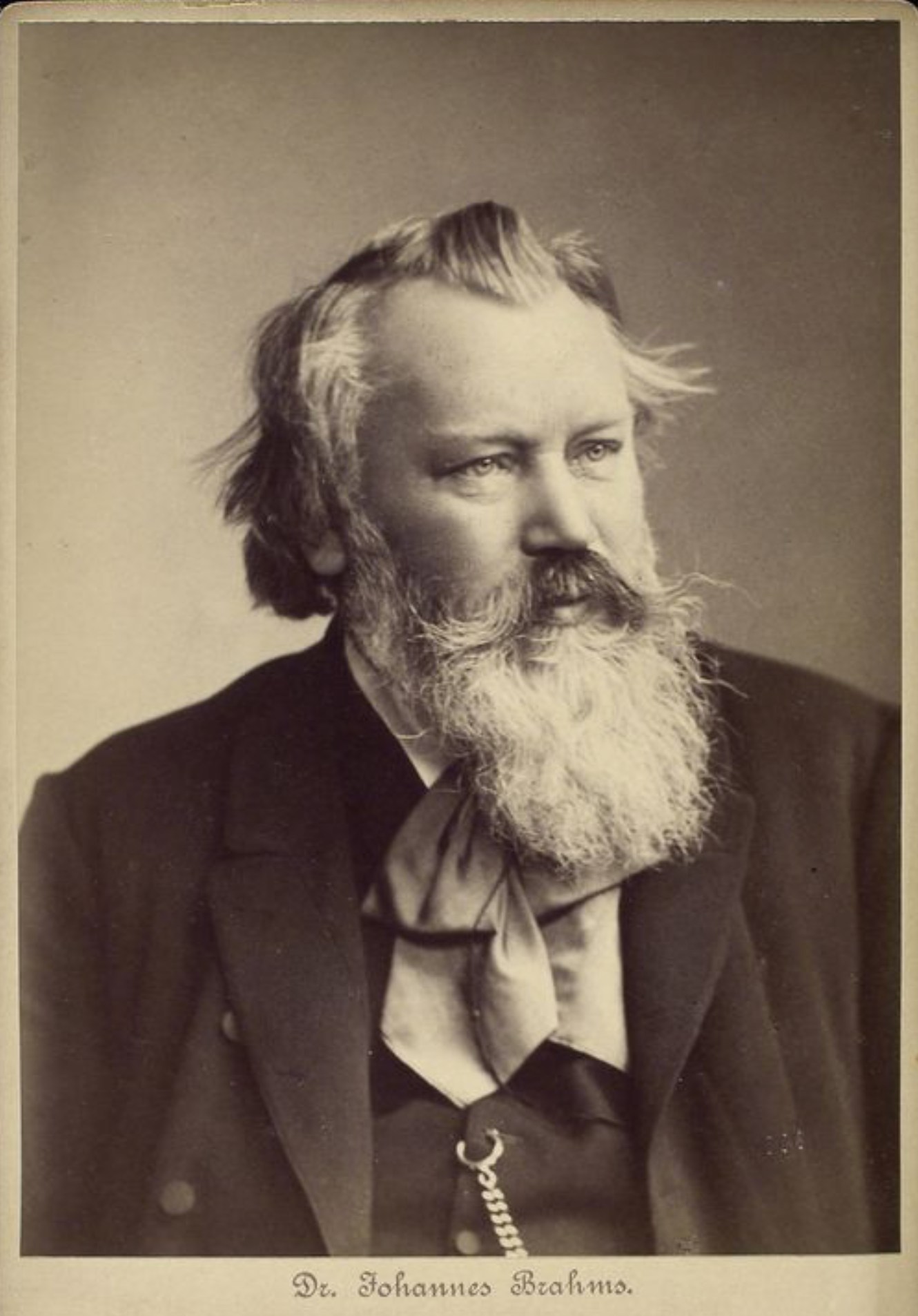 Portret van Johannes Brahms, gekleed in een pak, met een lange witte baard.