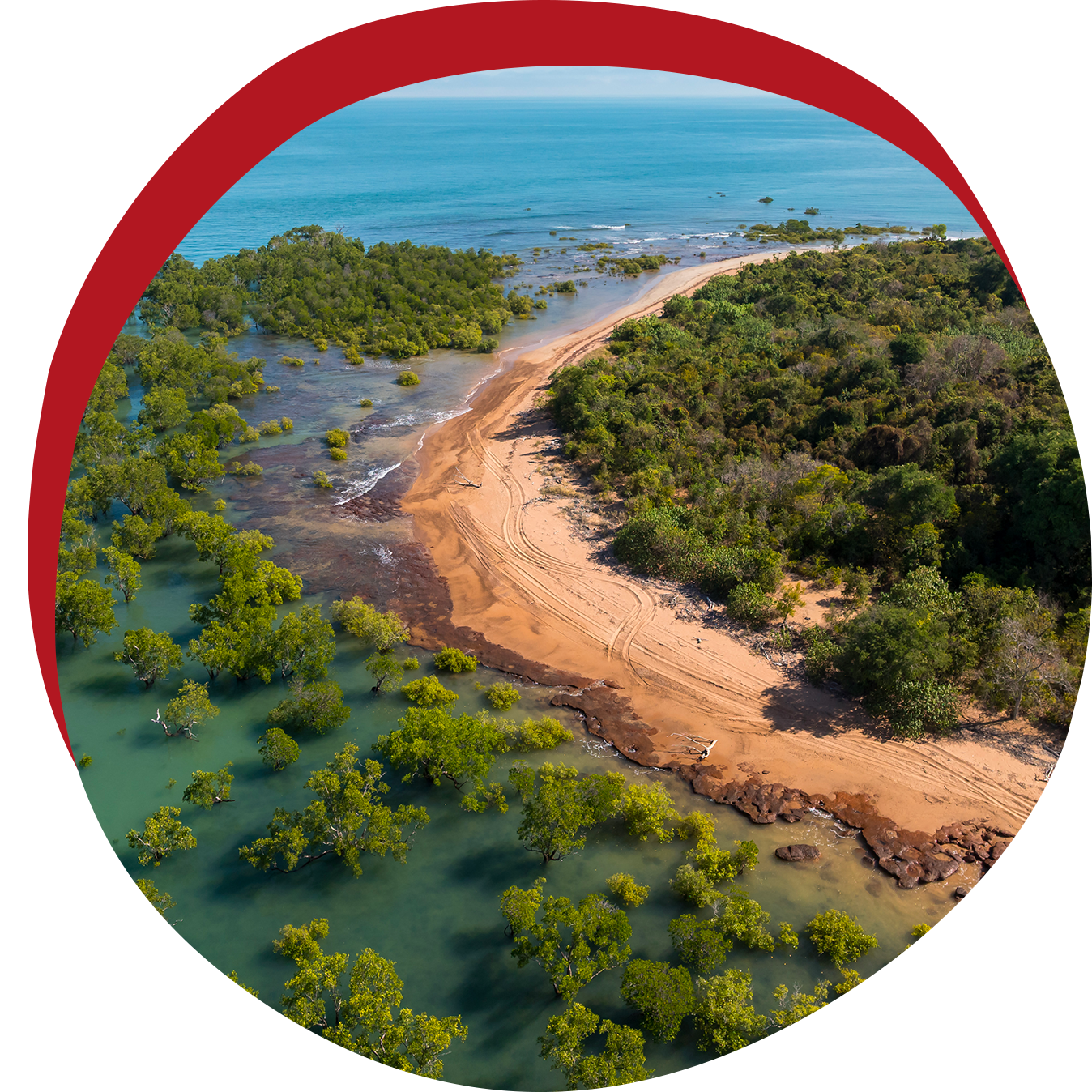 Coastal aerial view: sandy beach separating ocean and lush green vegetation; red arc in the background.