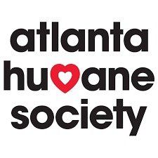 animal shelter cleaning commercial facility in buckhead atlanta, ga