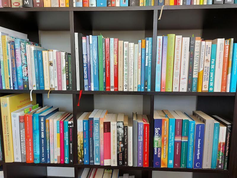 Een houten boekenkast gevuld met vele kleurrijke gebonden en paperbackboeken, geordend op twee zichtbare planken.