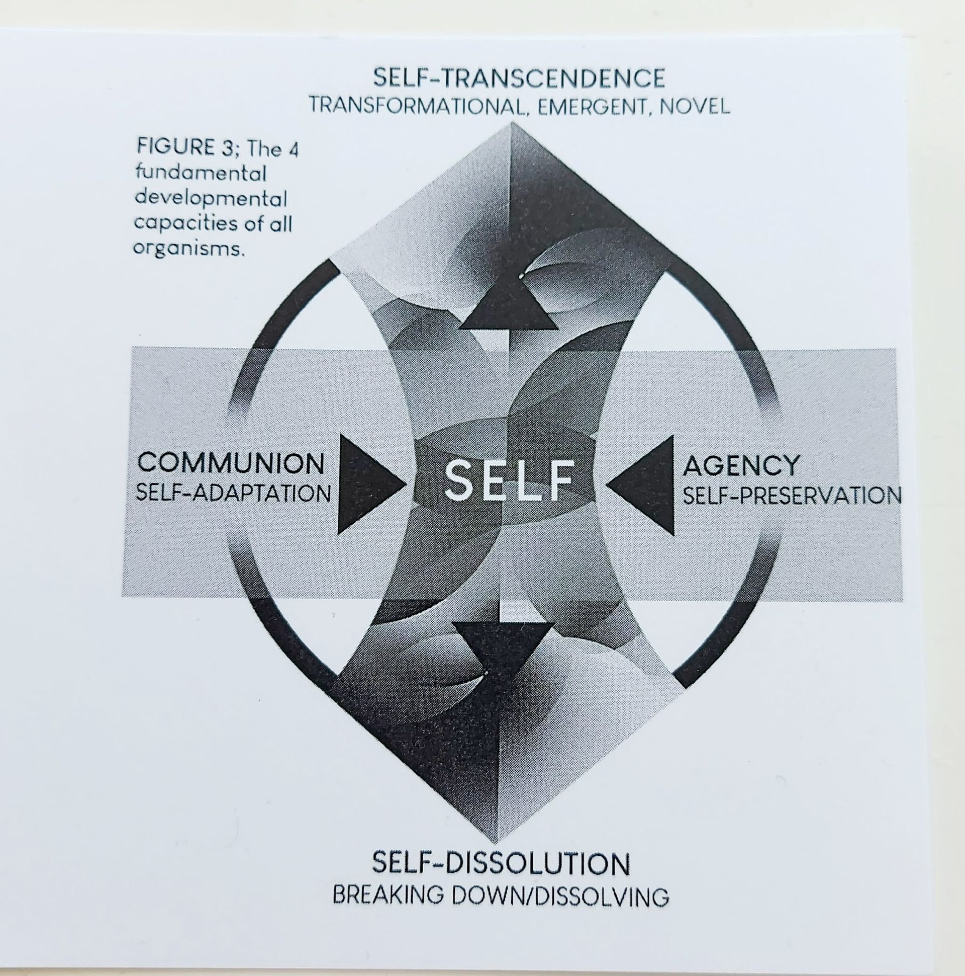 image self daimon institute