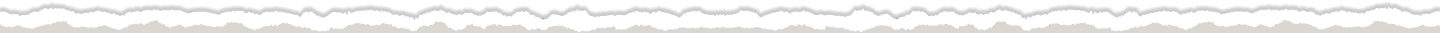 White vertical lines on a white background, creating a textured surface.