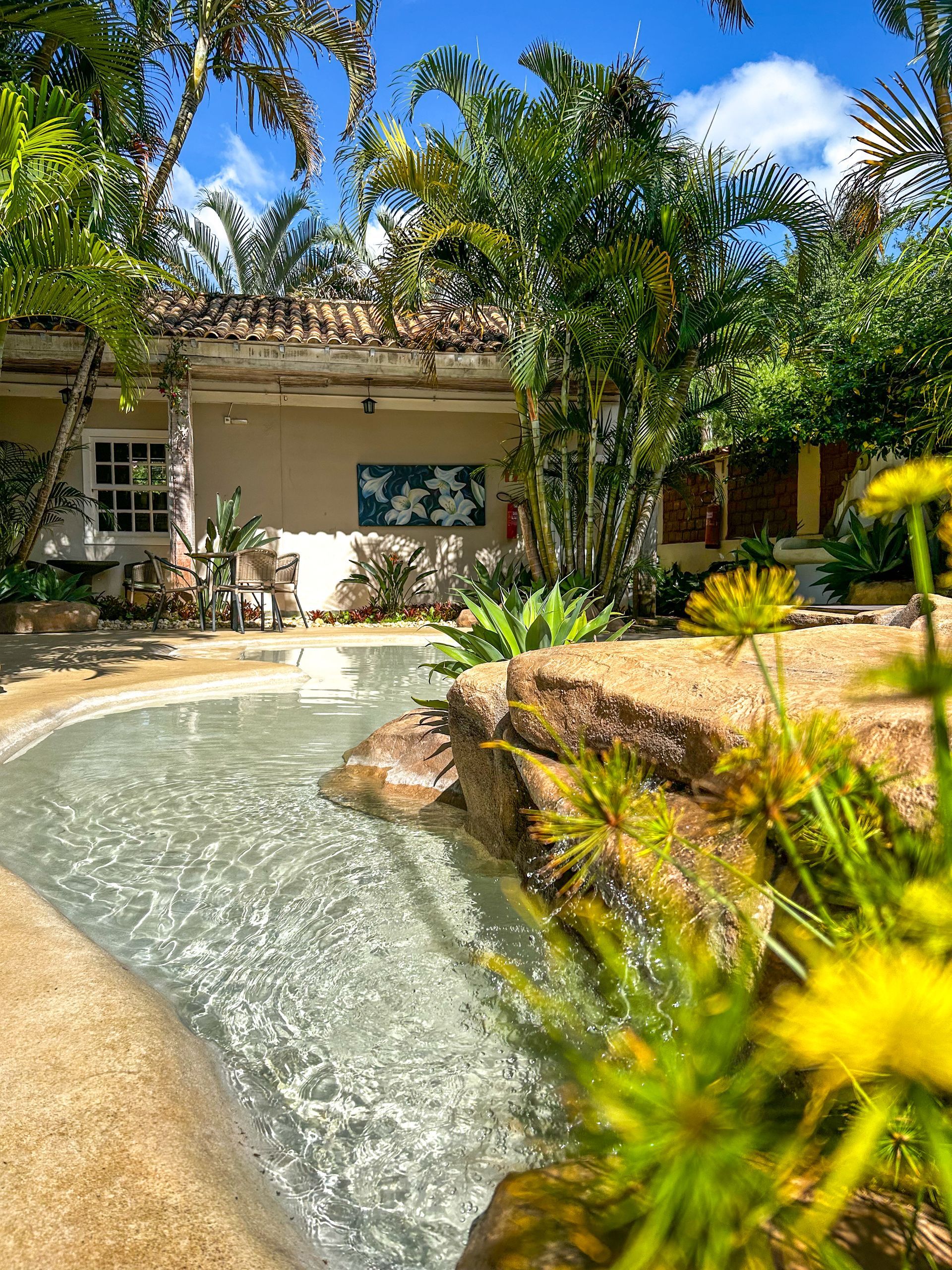 Há uma piscina no quintal de uma casa cercada por árvores.
