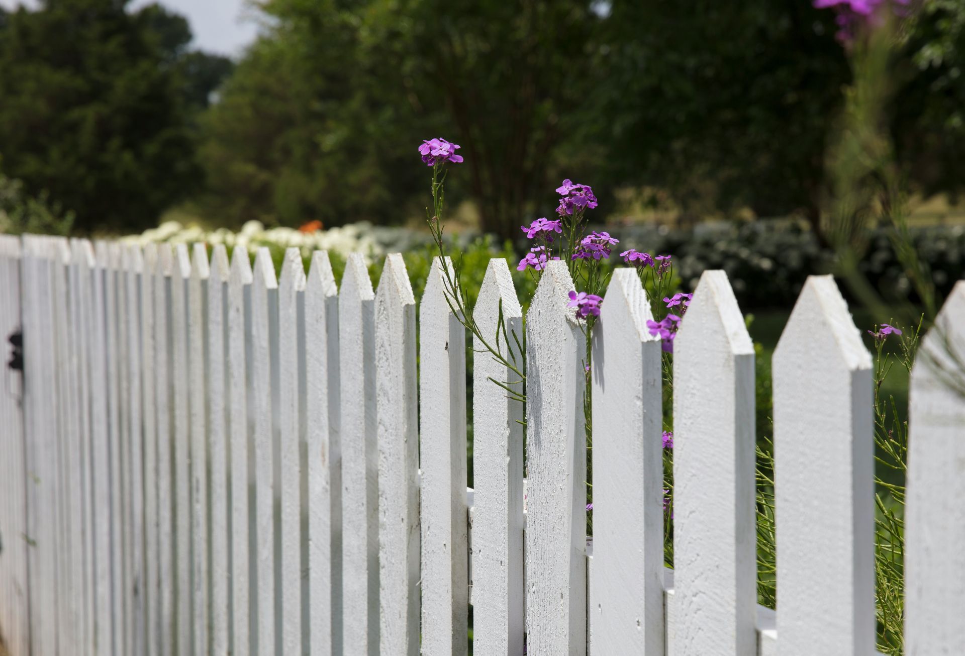 legrand-fence-contractors-image