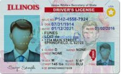 Illinois driver’s license on a white background, with a blue ID photo and red title text.