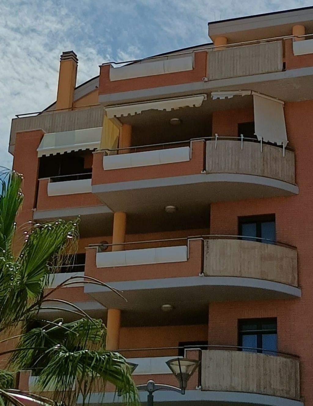 Edificio residenziale a più piani con balconi curvi e palma antistante.