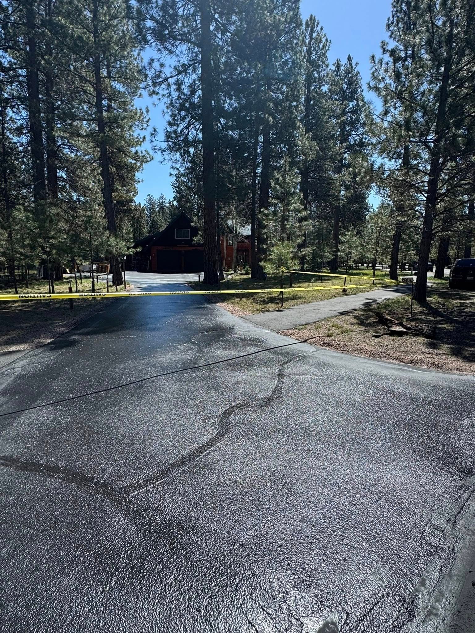 A driveway leading to a house surrounded by trees on a sunny day.